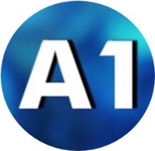 A1