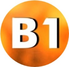 B1