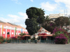 Surroundings of school and accommodation
