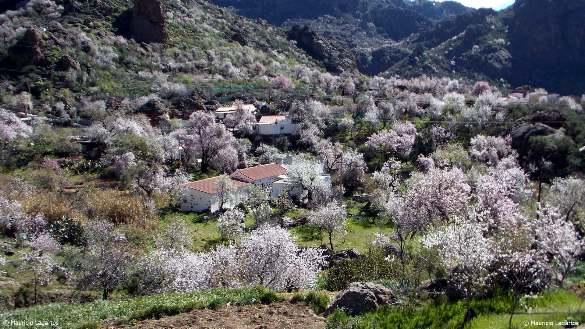 Gran Canaria