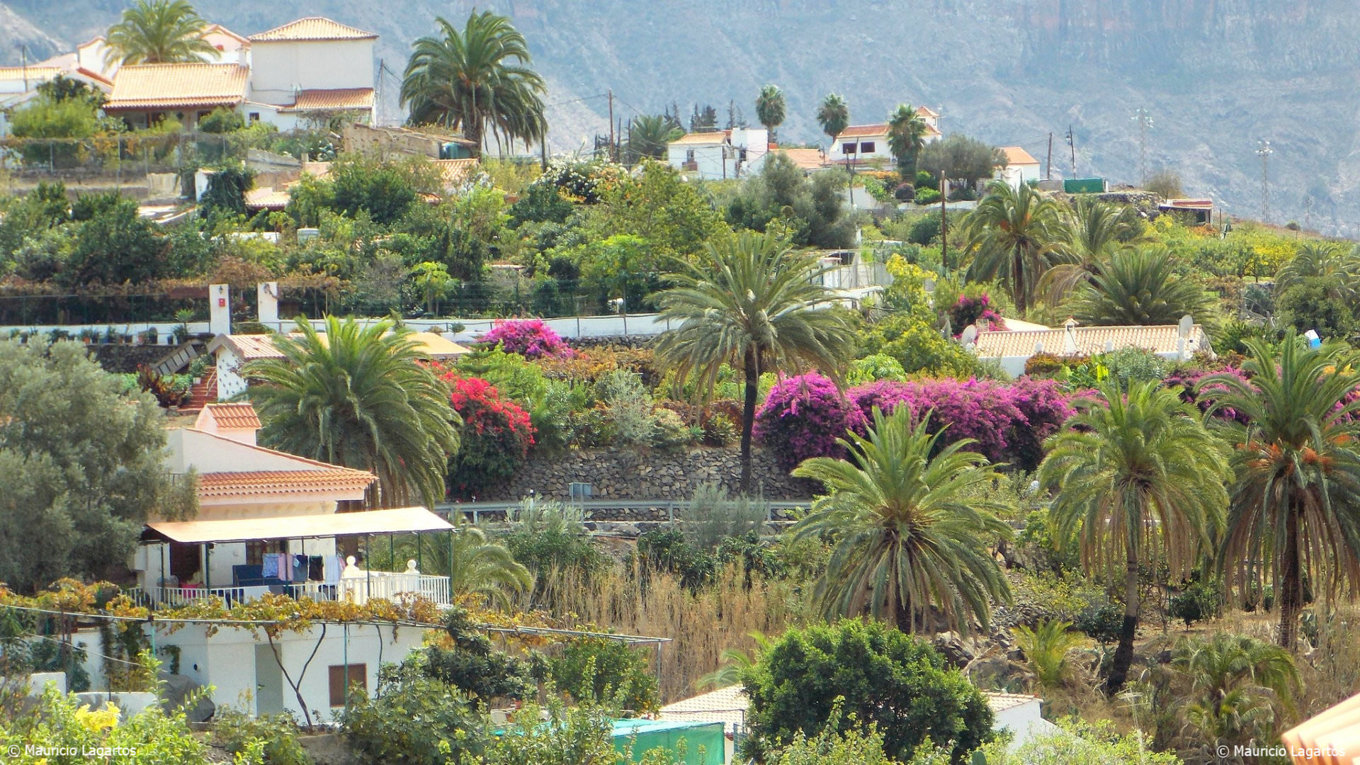 Gran Canaria