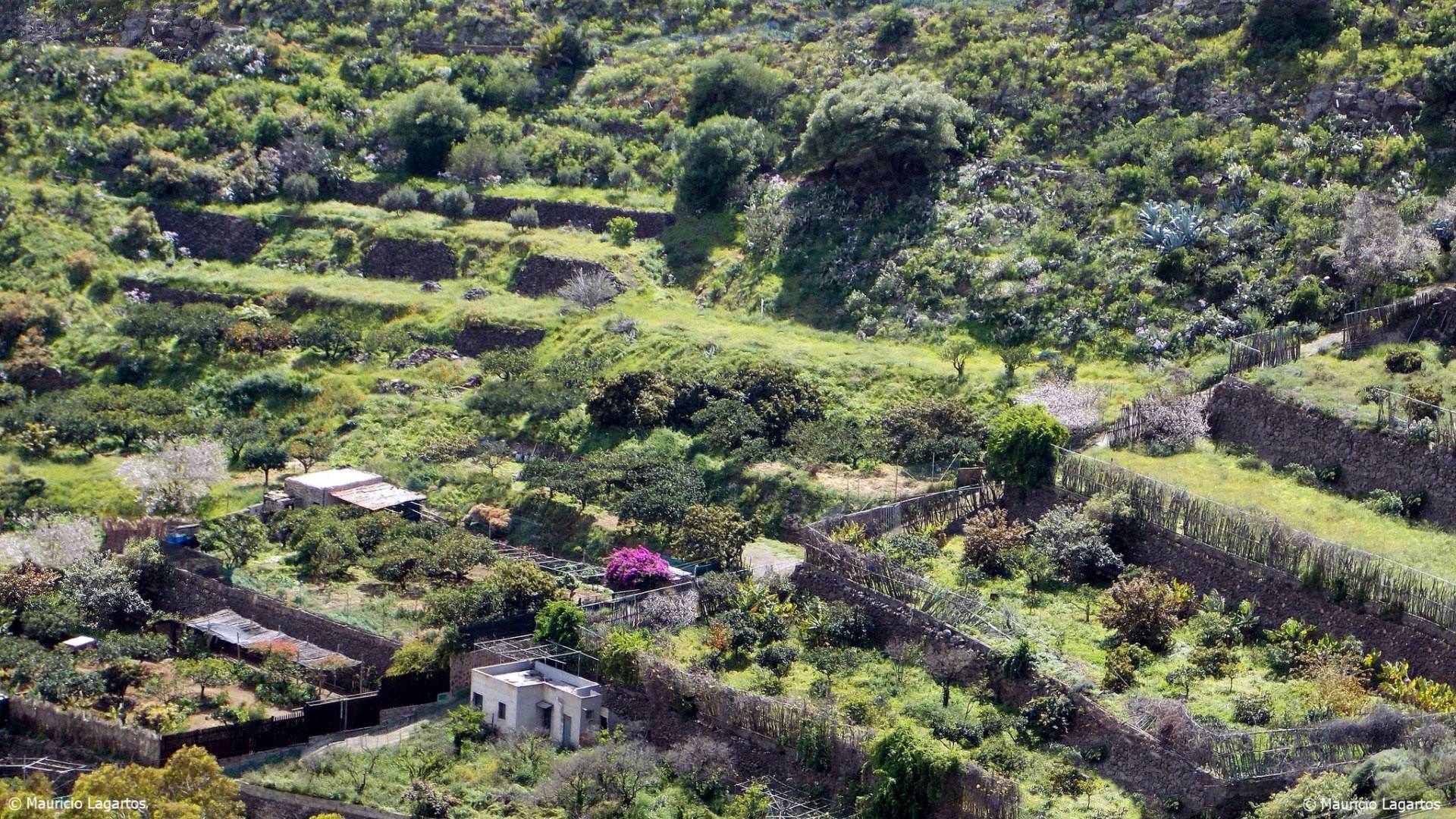 Gran Canaria
